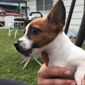 Meet your Posher, Maribeth